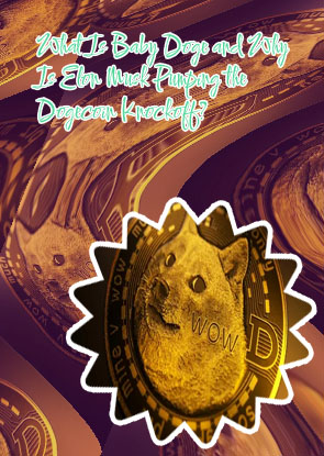 Baby dogecoin cryptocurrency