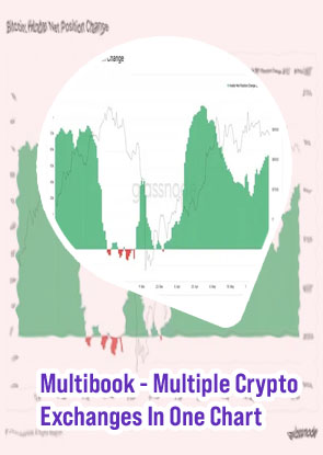 Bitcoin long position chart
