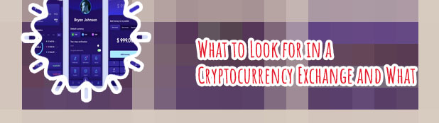 What is a cryptocurrency wallet